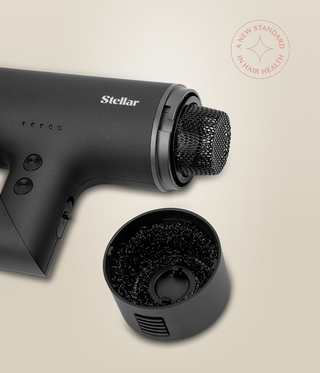 OmniFlex Dryer with the rear cap removed, exposing the mesh filter beside the detached cap.